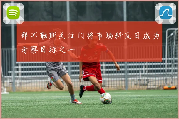 那不勒斯关注门将市场科瓦日成为考察目标之一